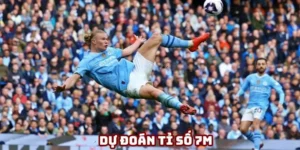 dự đoán tỉ số 7M